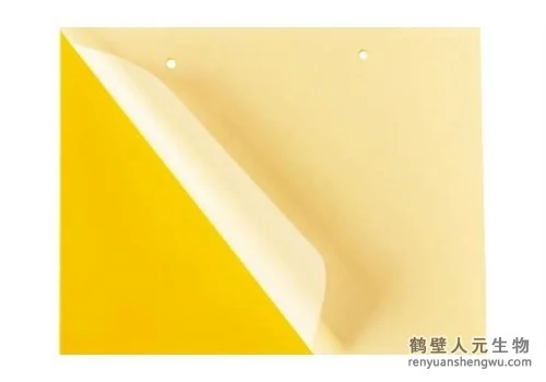 全降解诱虫板补充图片