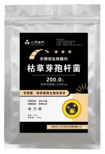 枯草芽孢杆菌