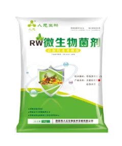 淡紫拟青霉菌